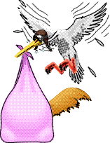 stork.gif (7141 bytes)